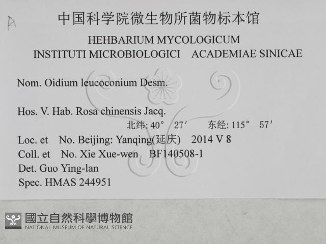 登錄號:F0027921藏品圖，第3張