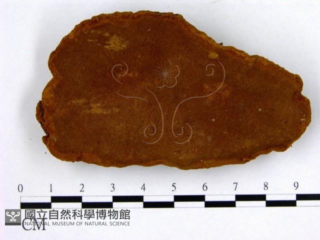 登錄號:F0009921藏品圖，第1張