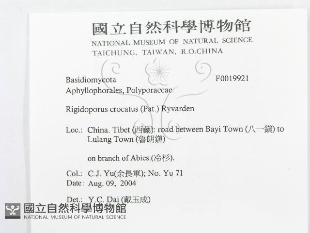 登錄號:F0019921藏品圖，第3張