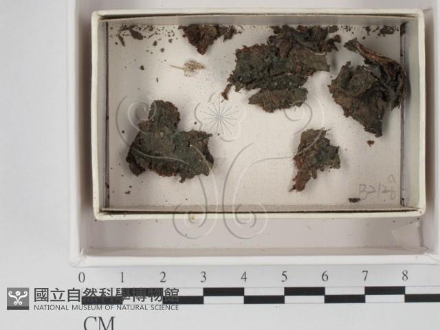 登錄號:F0020621藏品圖，第1張