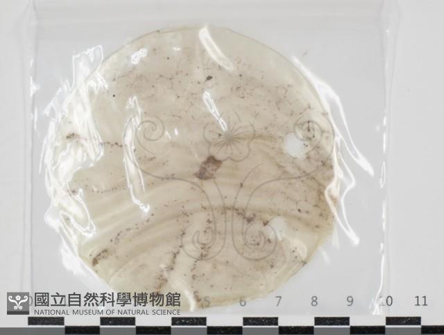 登錄號:F0034621藏品圖，第1張