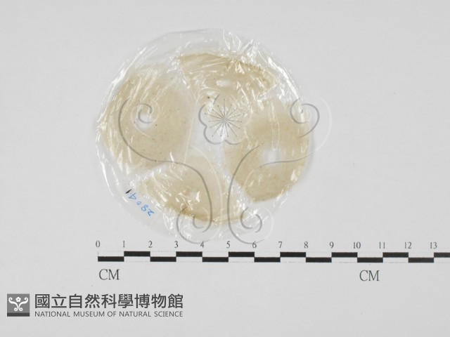 登錄號:F0027621藏品圖，第1張