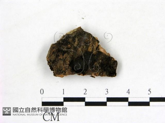 登錄號:F0019621藏品圖，第1張