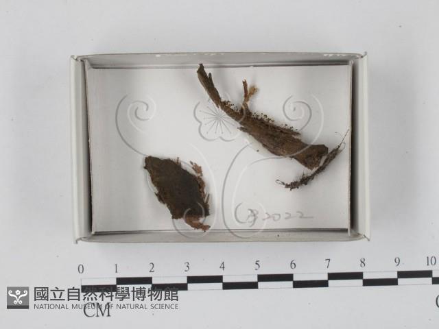 館號:F0018421藏品圖，第1張
