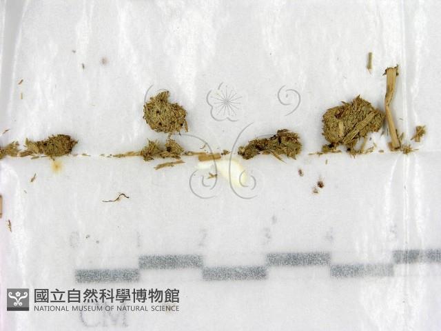 登錄號:F0004721藏品圖，第1張