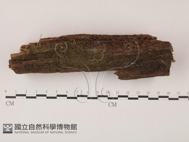 登錄號:F0007721藏品圖，第1張