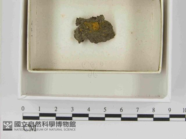 登錄號:F0021521藏品圖，第1張