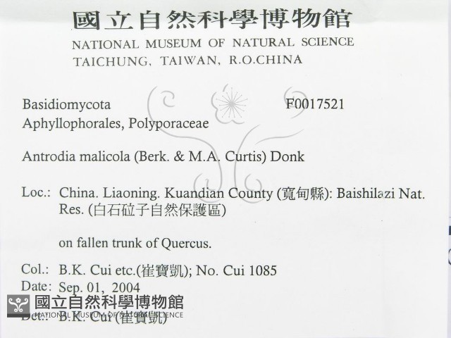 登錄號:F0017521藏品圖，第3張