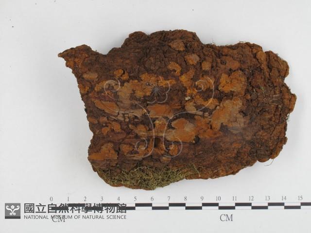 登錄號:F0024121藏品圖，第1張