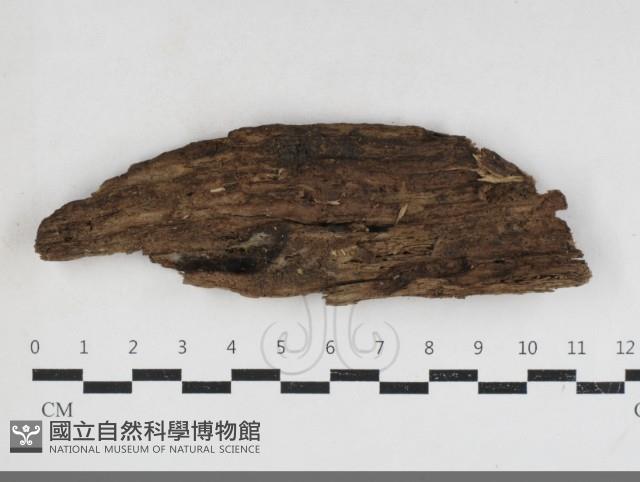 登錄號:F0034121藏品圖，第1張