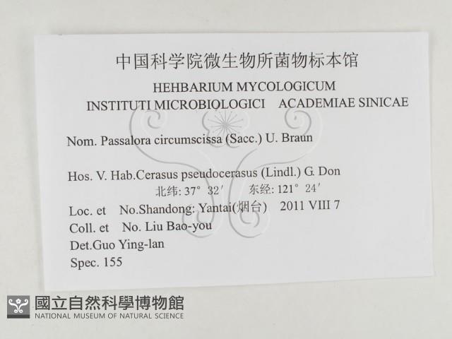 登錄號:F0026321藏品圖，第3張