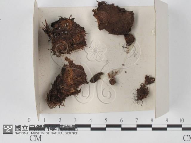 登錄號:F0021321藏品圖，第1張