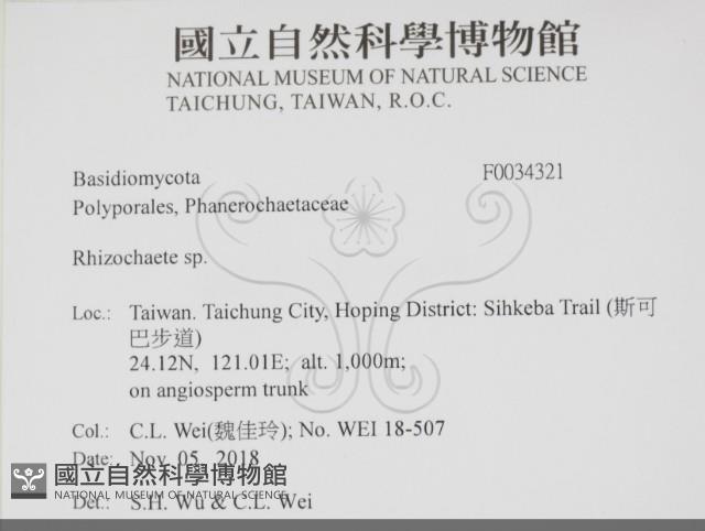 登錄號:F0034321藏品圖，第1張