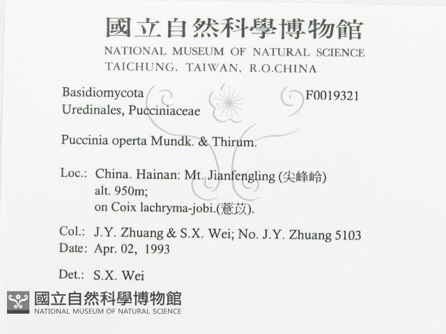 登錄號:F0019321藏品圖，第3張