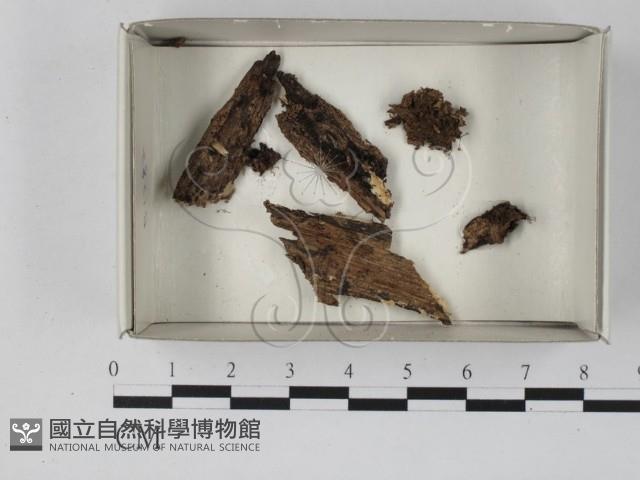 登錄號:F0021201藏品圖，第1張