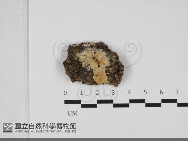 登錄號:F0032201藏品圖，第1張