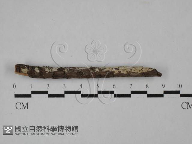 登錄號:F0027201藏品圖，第1張