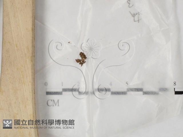 登錄號:F0023201藏品圖，第1張