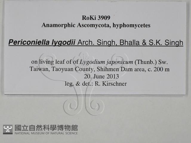 登錄號:F0028801藏品圖，第3張