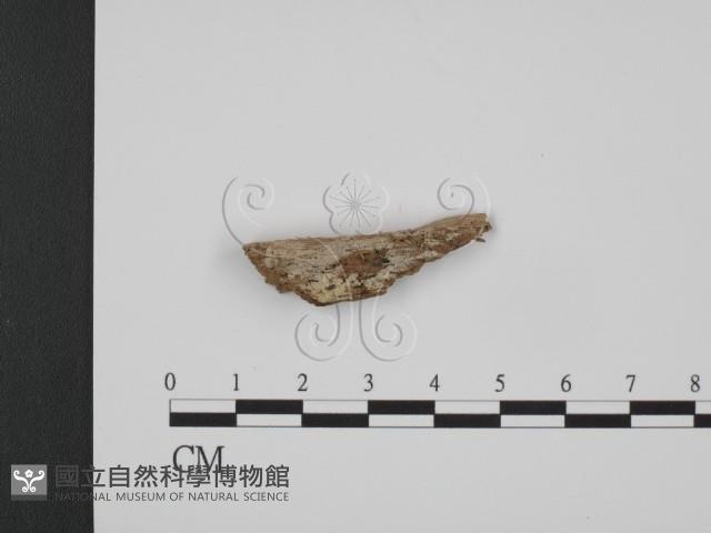 登錄號:F0016801藏品圖，第1張