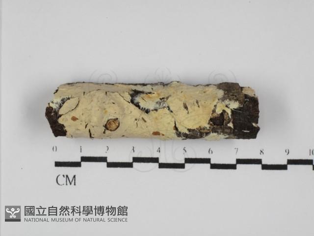 登錄號:F0031801藏品圖，第1張
