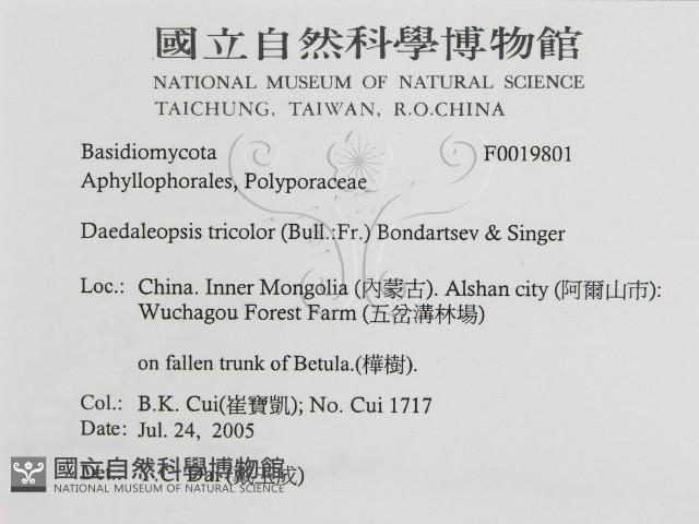 登錄號:F0019801藏品圖，第3張