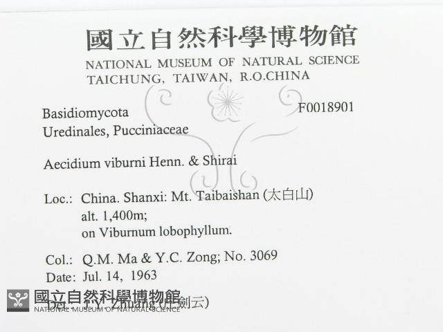 登錄號:F0018901藏品圖，第3張