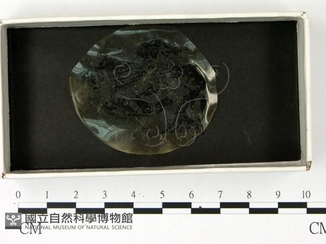 登錄號:F0022901藏品圖，第1張