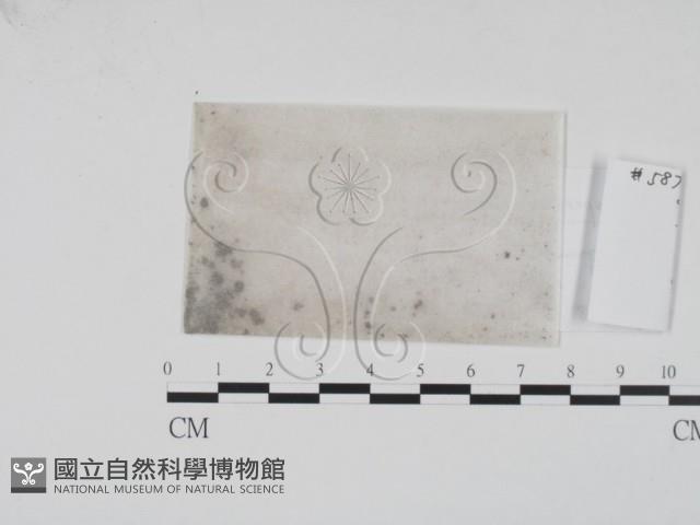 登錄號:F0012901藏品圖，第1張