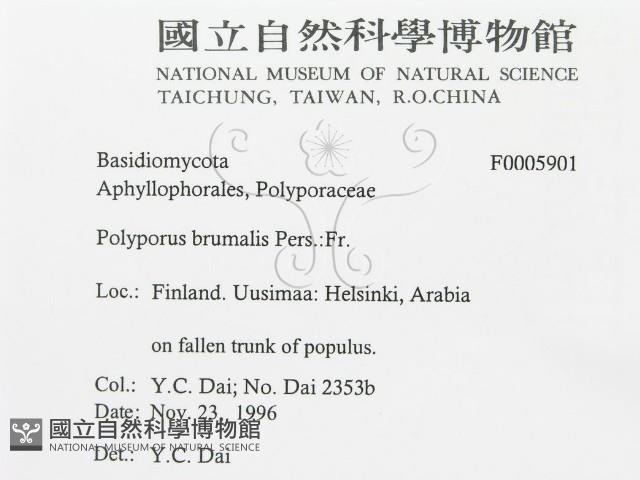 登錄號:F0005901藏品圖，第3張