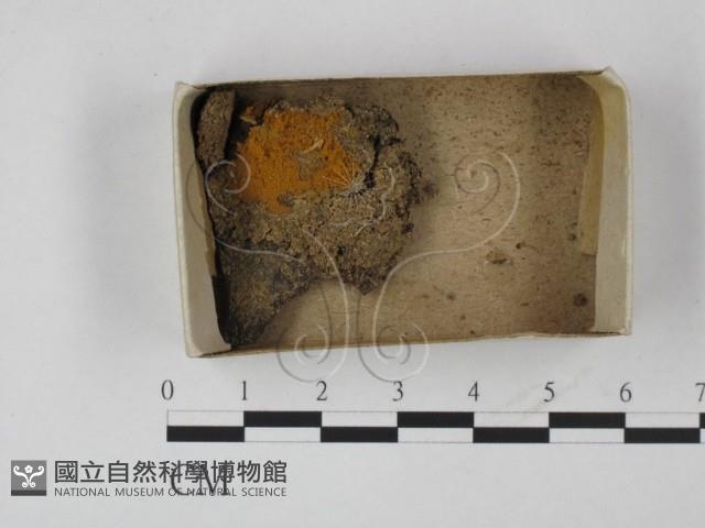 登錄號:F0018601藏品圖，第1張