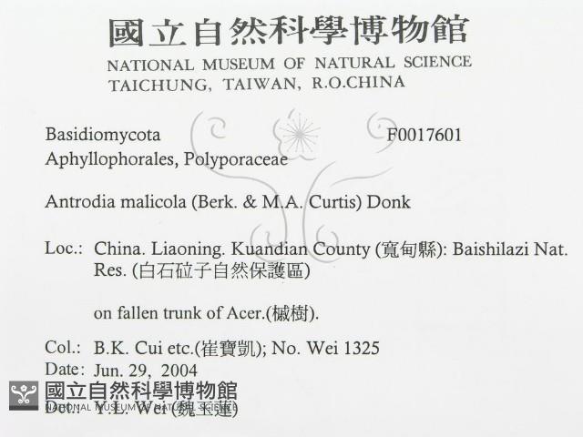 登錄號:F0017601藏品圖，第3張