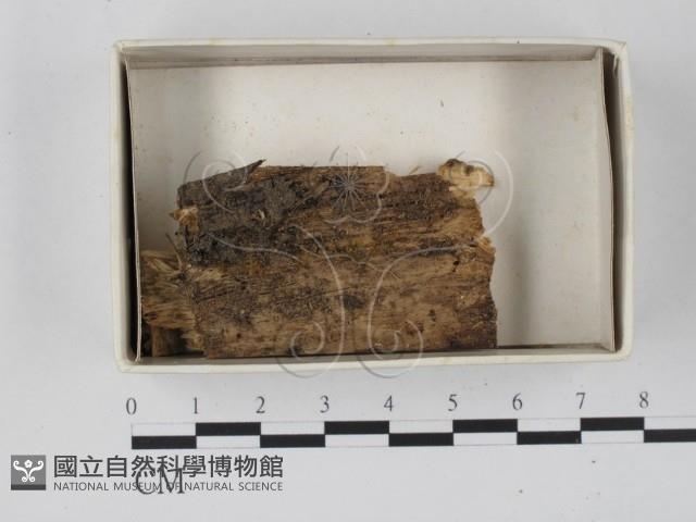 登錄號:F0021401藏品圖，第1張