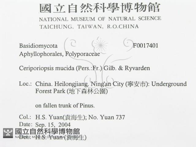 登錄號:F0017401藏品圖，第3張