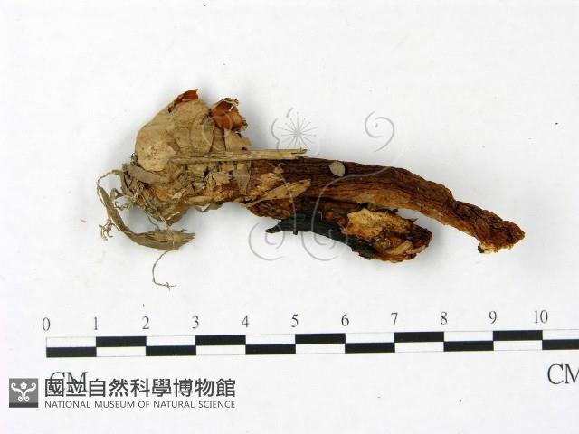 登錄號:F0023401藏品圖，第1張