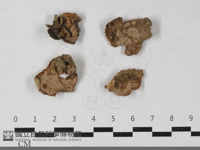 登錄號:F0033401藏品圖，第1張