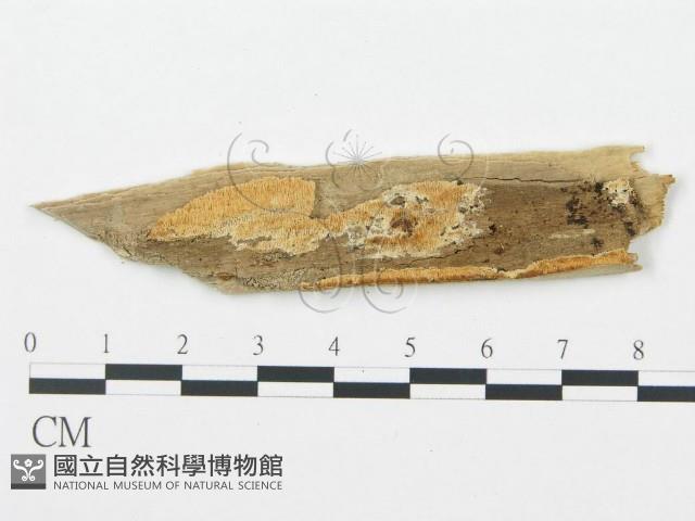 登錄號:F0006701藏品圖，第1張