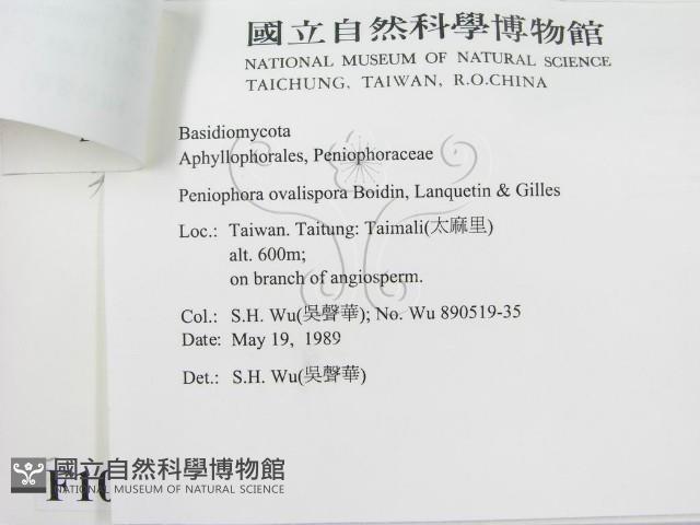 登錄號:F0010501藏品圖，第3張