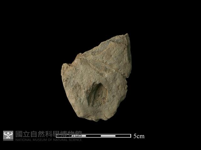 斧鋤形器藏品圖，第1張