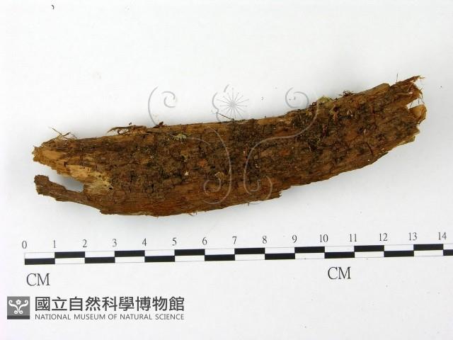 登錄號:F0023001藏品圖，第1張