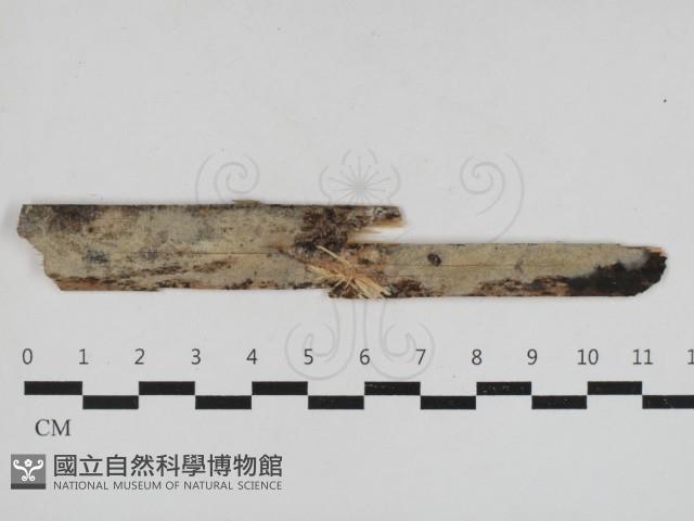 登錄號:F0033001藏品圖，第1張