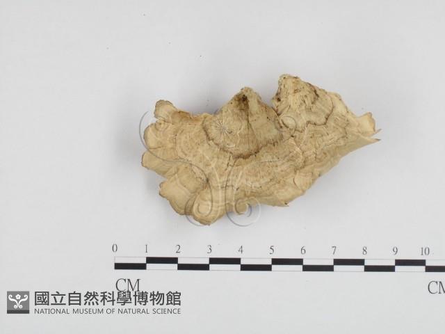 登錄號:F0024301藏品圖，第1張