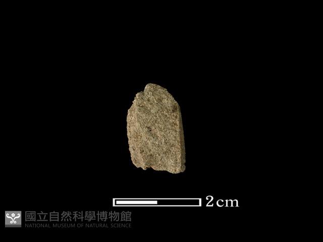 矛鏃形器藏品圖，第1張