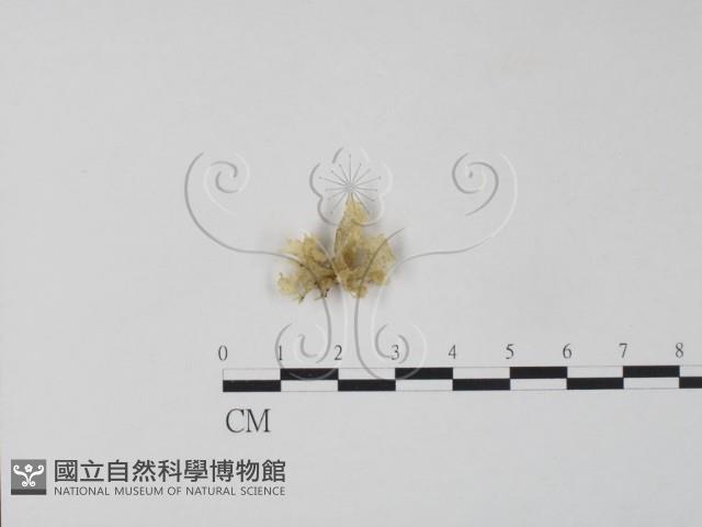 登錄號:F0010211藏品圖，第3張