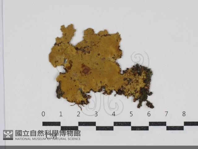 登錄號:F0034211藏品圖，第1張