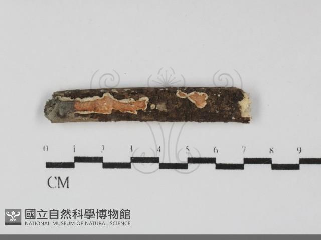 登錄號:F0032211藏品圖，第1張