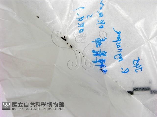 登錄號:F0017211藏品圖，第1張