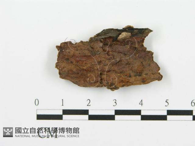 登錄號:F0016811藏品圖，第1張