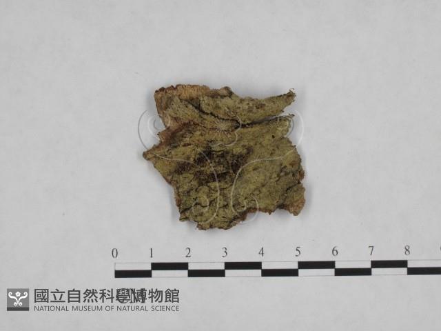 登錄號:F0024811藏品圖，第1張