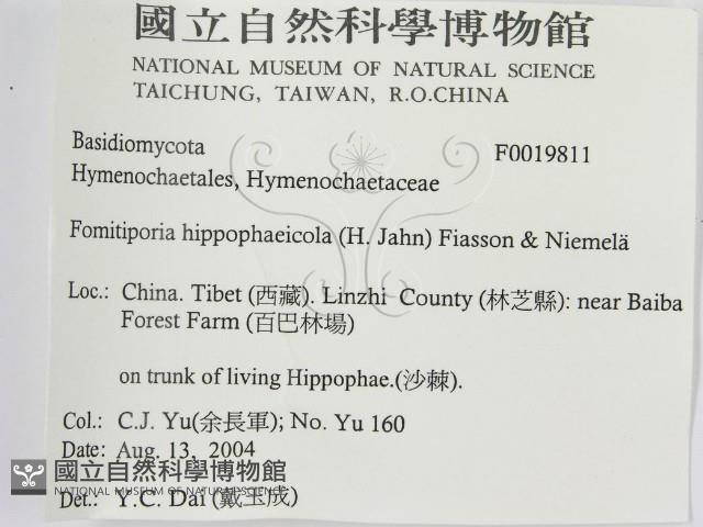 登錄號:F0019811藏品圖，第3張